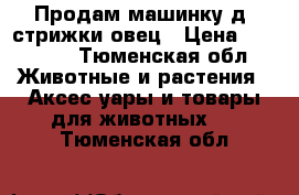 Продам машинку д/ стрижки овец › Цена ­ 10 000 - Тюменская обл. Животные и растения » Аксесcуары и товары для животных   . Тюменская обл.